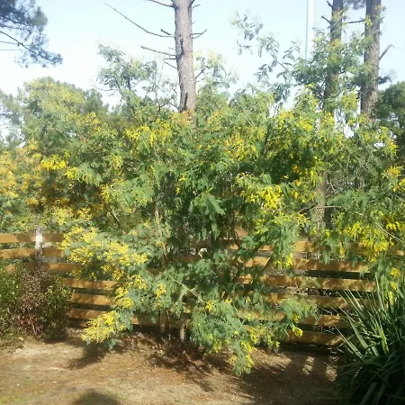 Tres Agreable Maison Au Calme Dans La Pinede